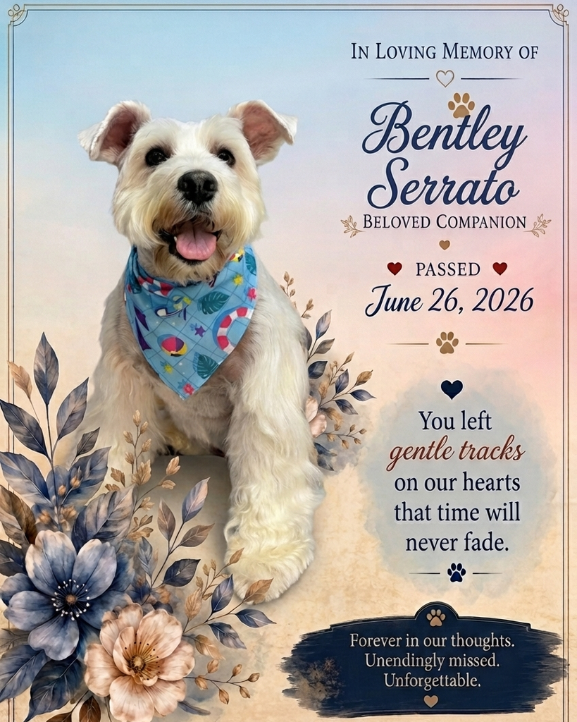 Bentley Serrato Profile Photo