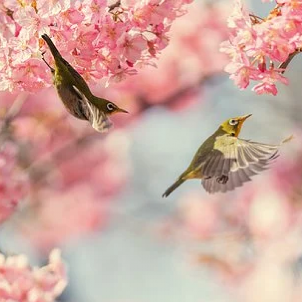 Margaret J. Arndt Profile Photo