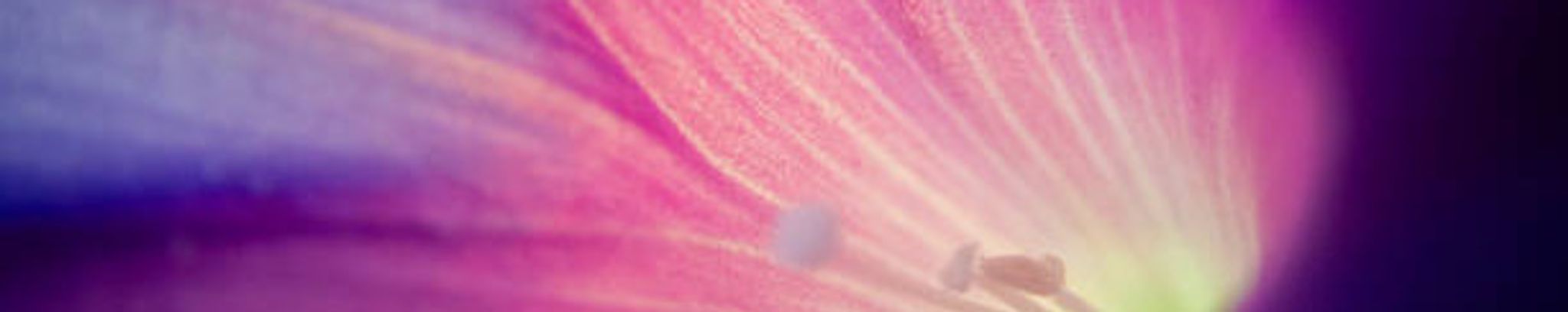 Cover for Emma Pearl Evans's Obituary