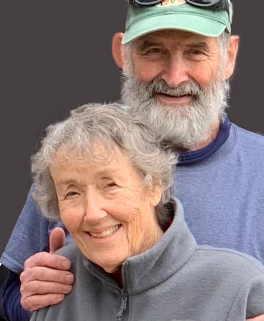 Ann Stillson Comstock