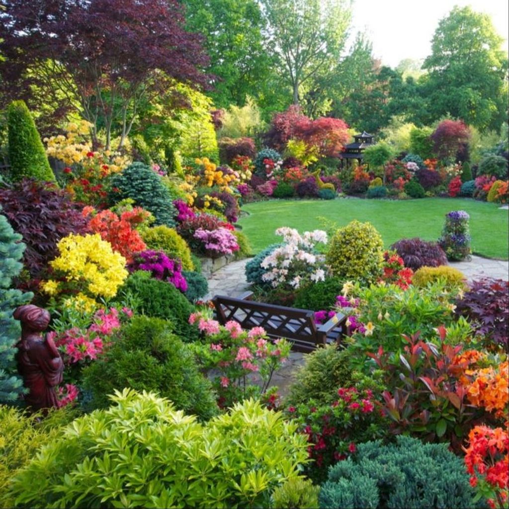 Pamela Gochenour Profile Photo