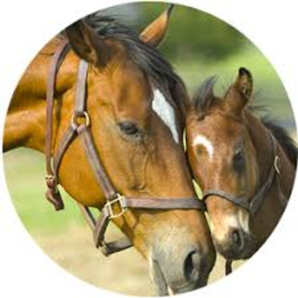 Walter Bennett "Peewee" Nichols, Jr. Profile Photo