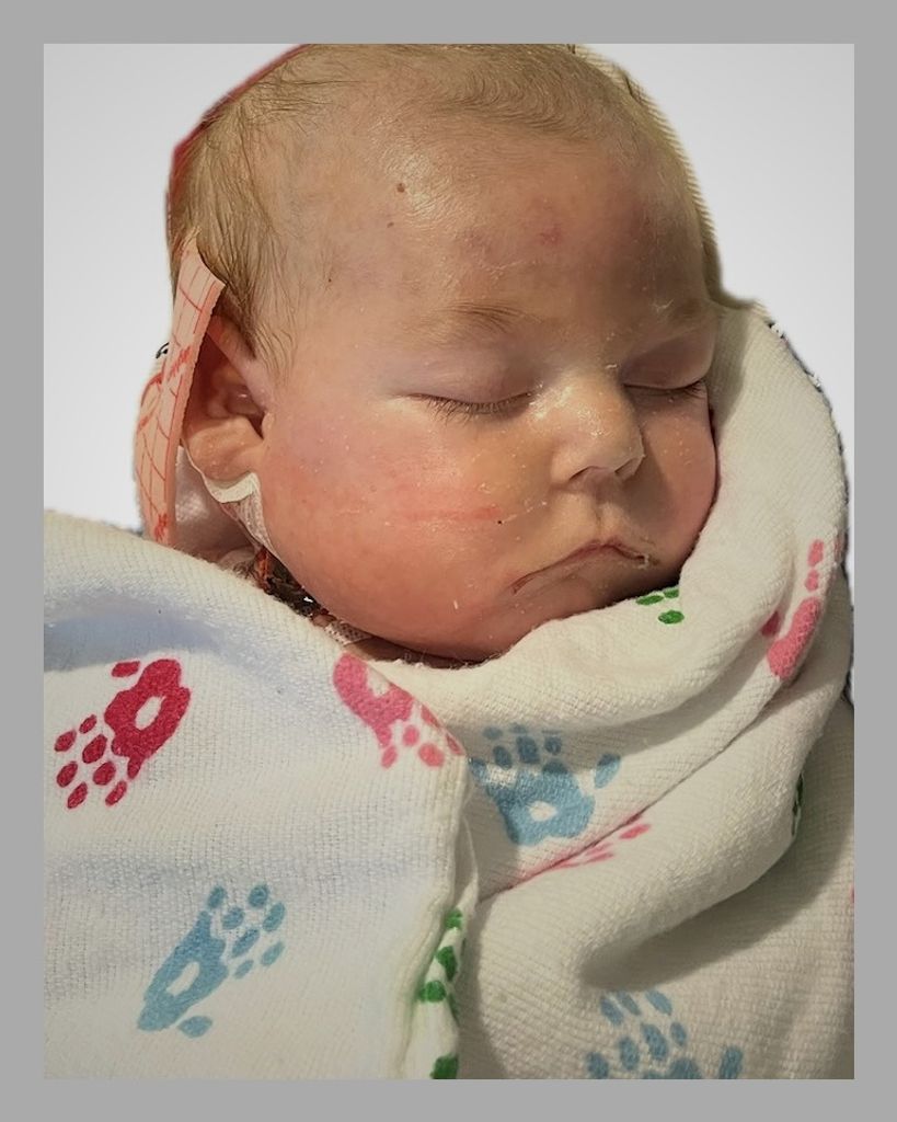 Denver Mack Wahls Profile Photo