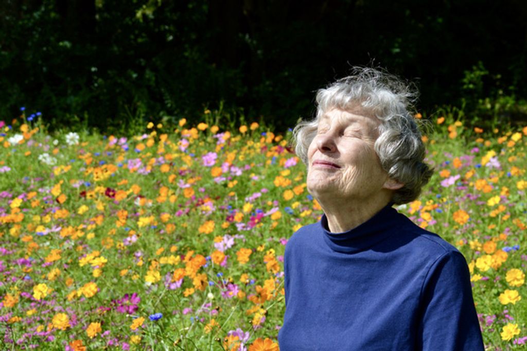 Janet Haman Keck Profile Photo
