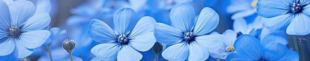 Cover photo for Delores "Dee" Staab's Obituary