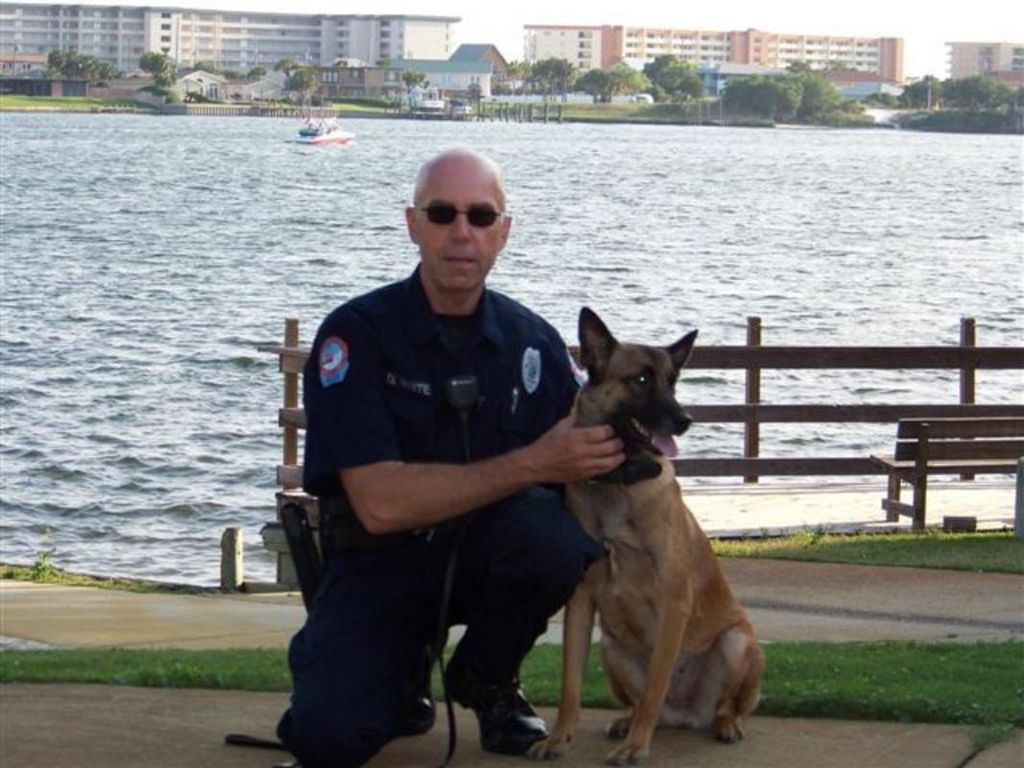 Donald James White Profile Photo