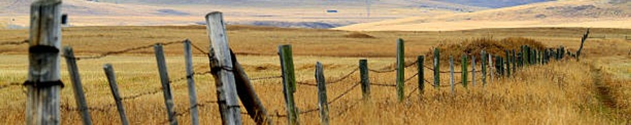 Cover for Gordon Jones's Obituary