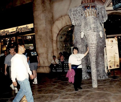 Graciela Nelly Sogamoso photo gallery thumbnail 58 of 83