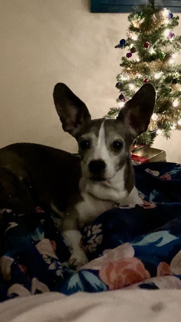 Mocha Rae Profile Photo