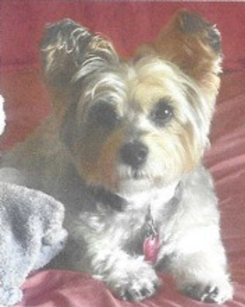 Puffer Eiland Profile Photo