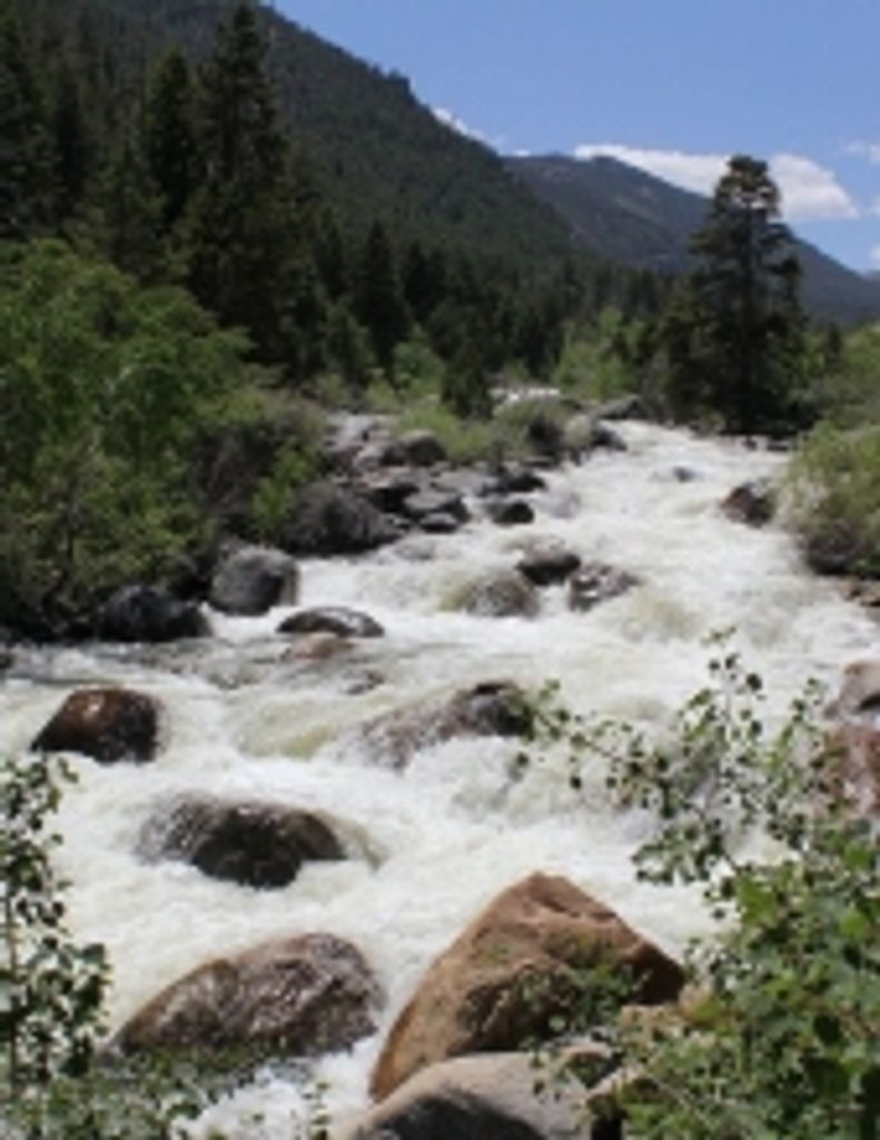 Kathleen Ann Alberts Profile Photo