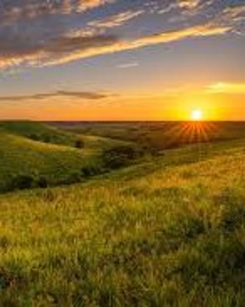 Michael Todd Austin Profile Photo