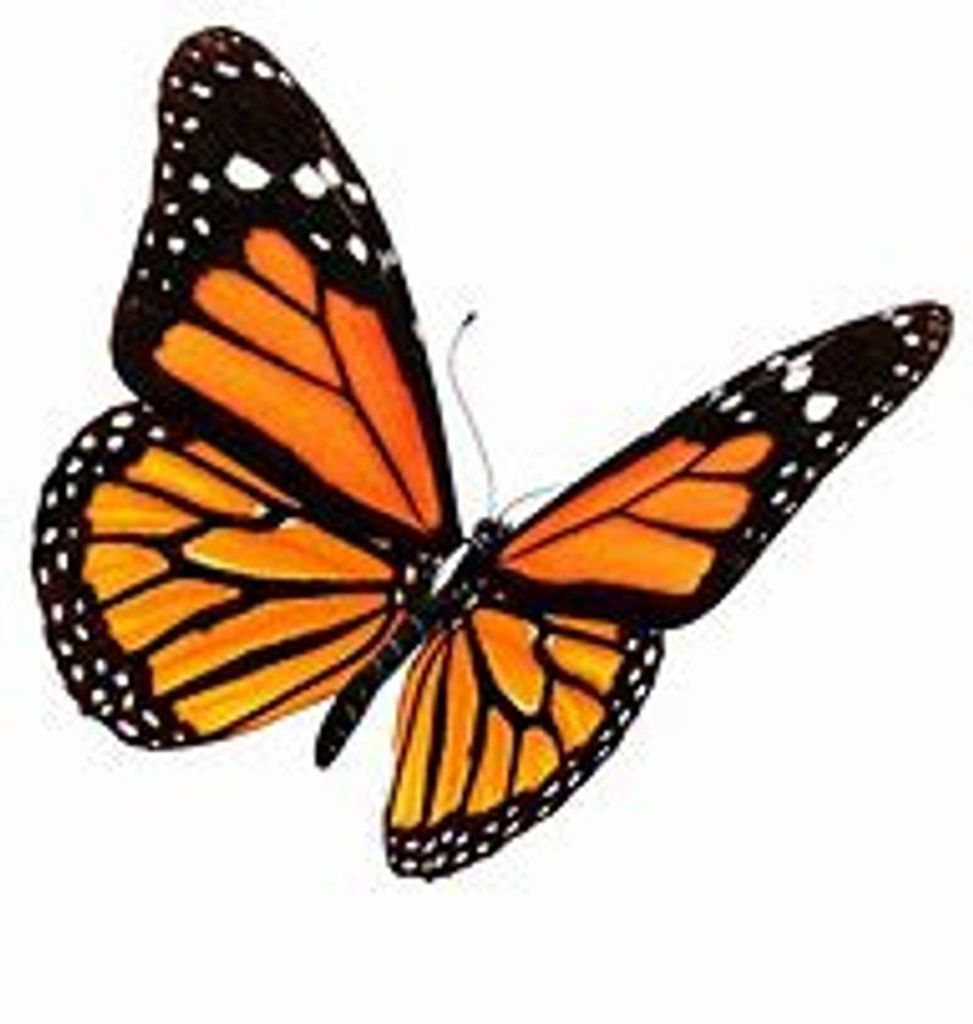 Debra Ann Edwards Profile Photo