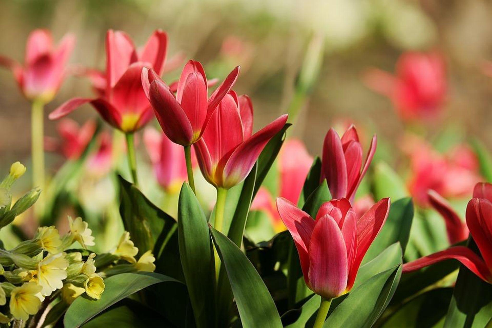 Cover photo for Judy E. Burkhart's Obituary