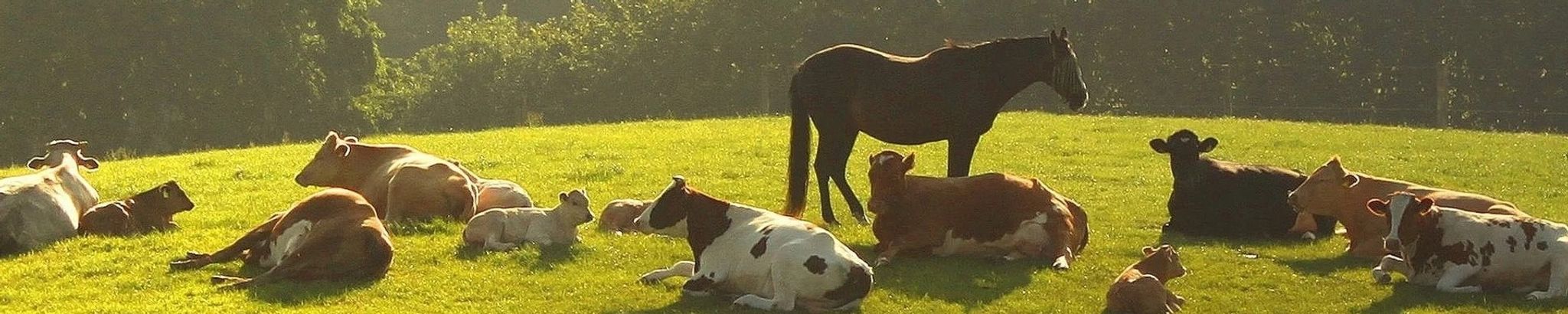 Cover for Mark Allen Hargrave's Obituary