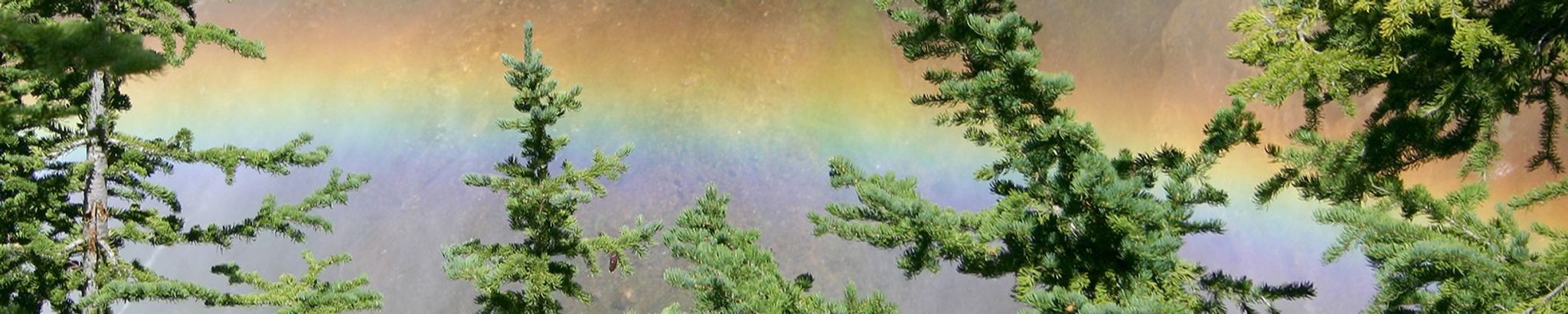 Cover for John Dale Herbst's Obituary