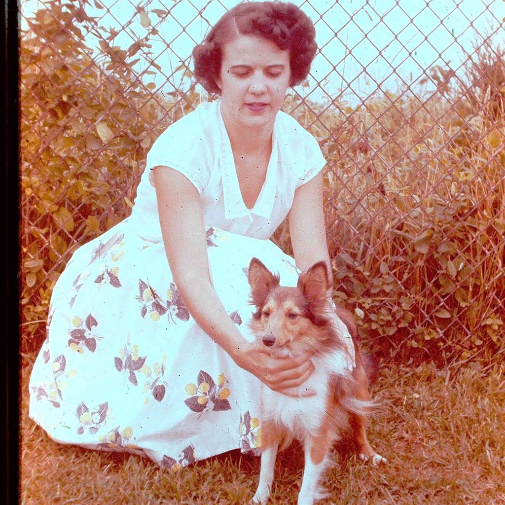 Joan Brush Heymann Profile Photo