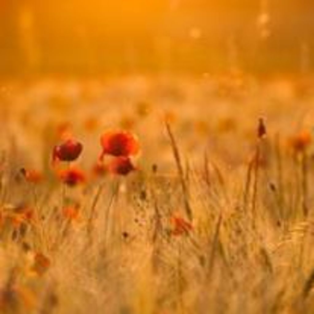Debra Keeling
