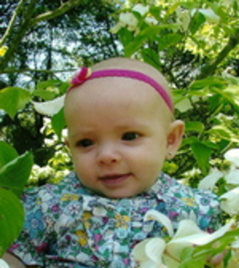 Peyton Elizabeth Laws