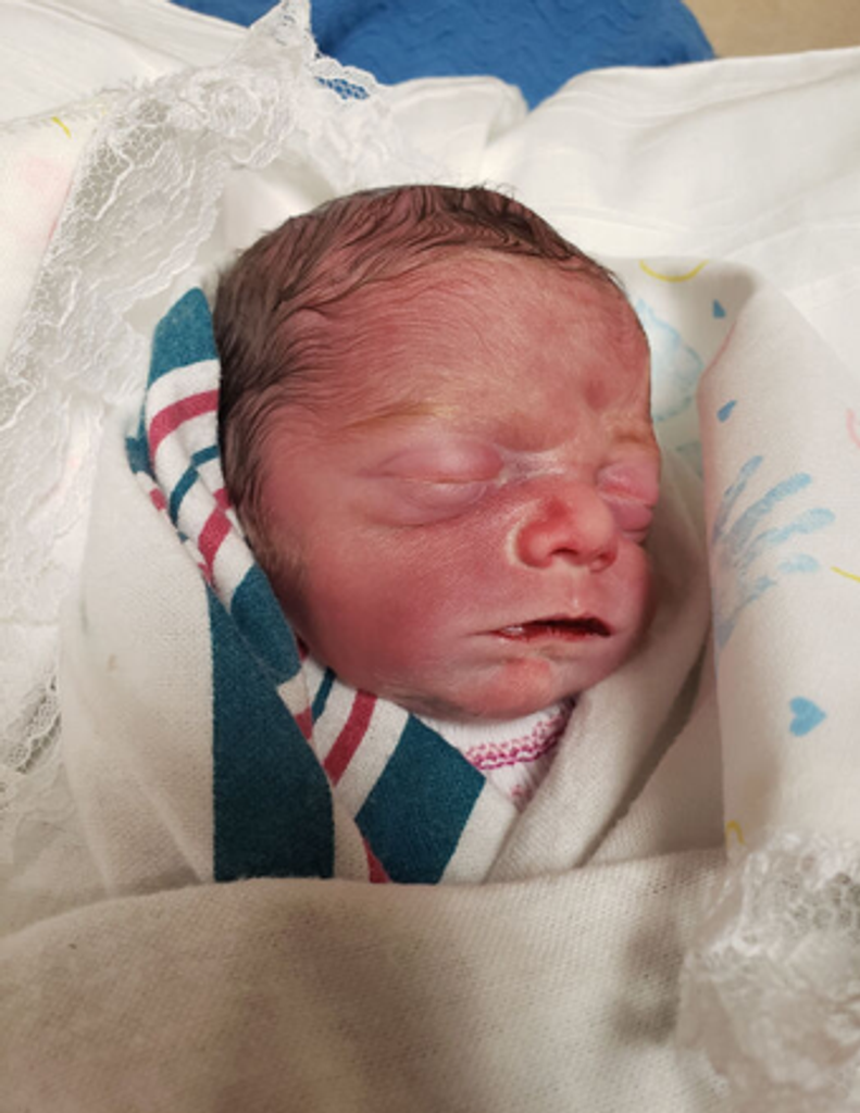 Hadley Wren Coe Profile Photo