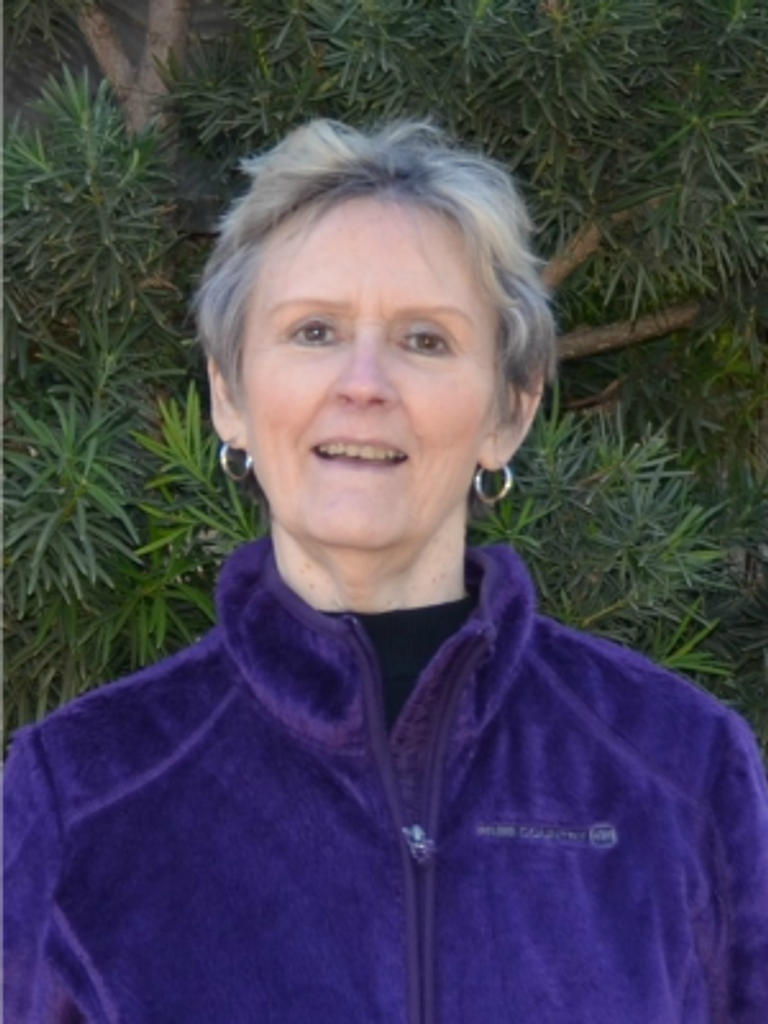 Sandra Lee Pollard Rizo