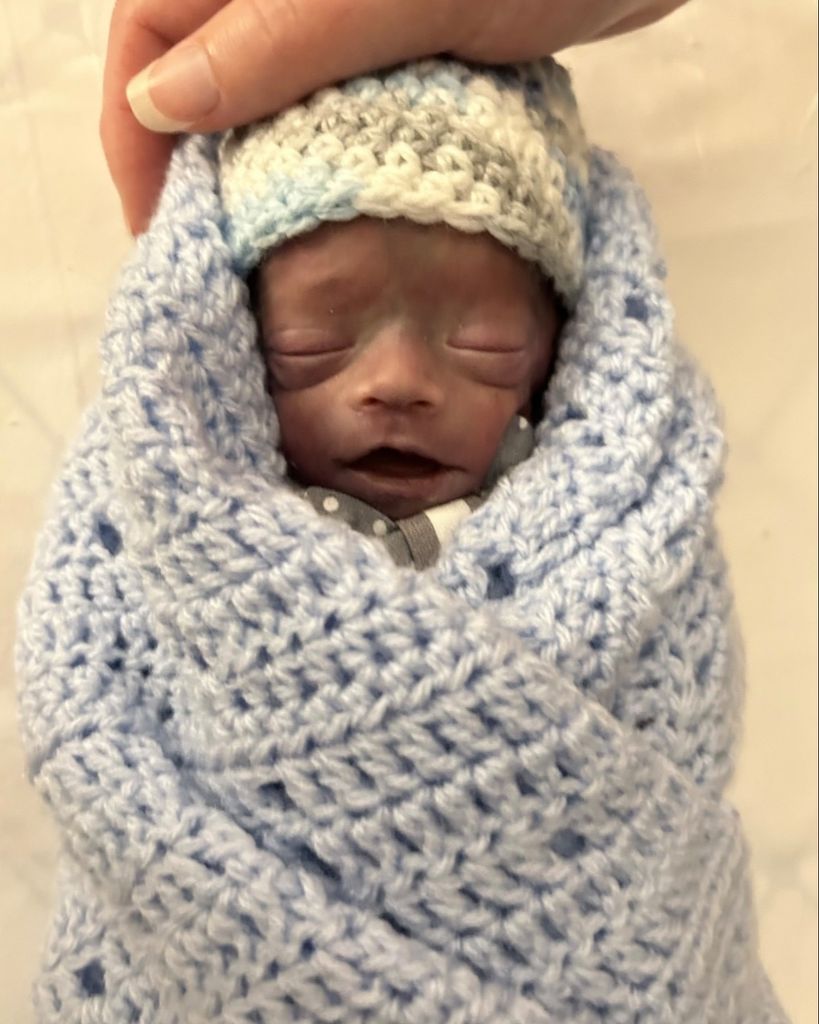 Theo Anthony Scherden Profile Photo