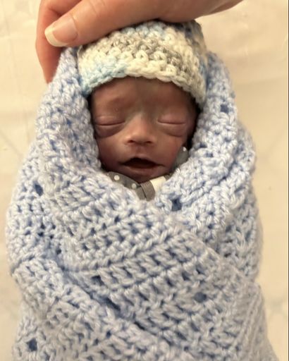 Theo Anthony Scherden's obituary image