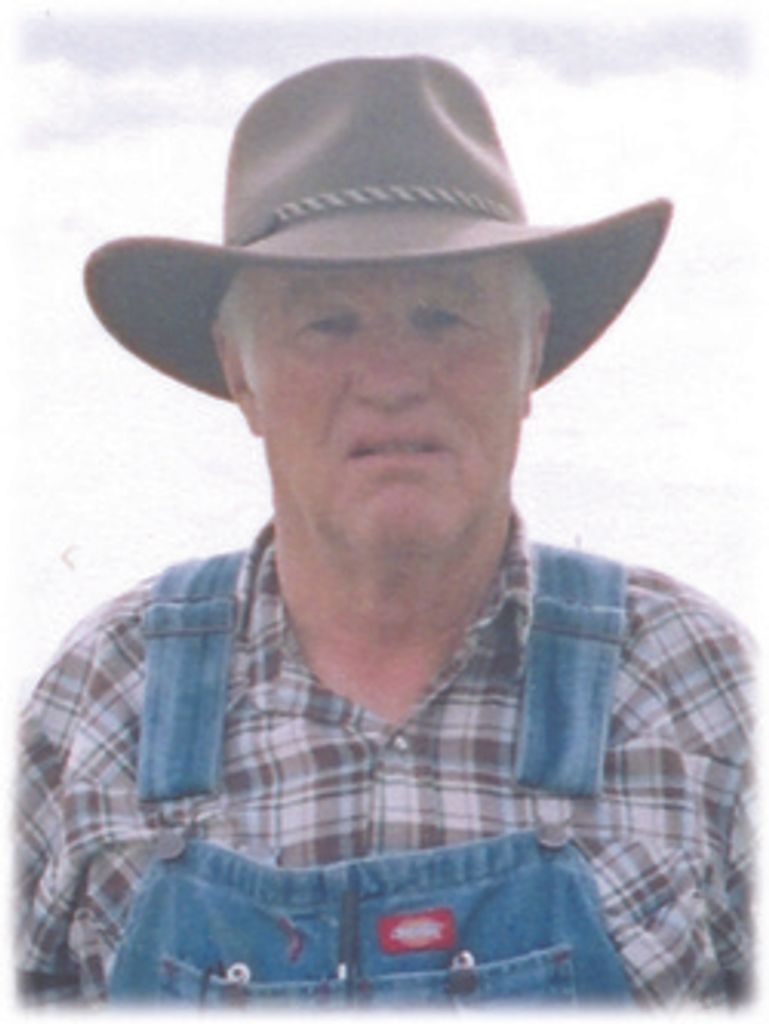 Rodney Davis