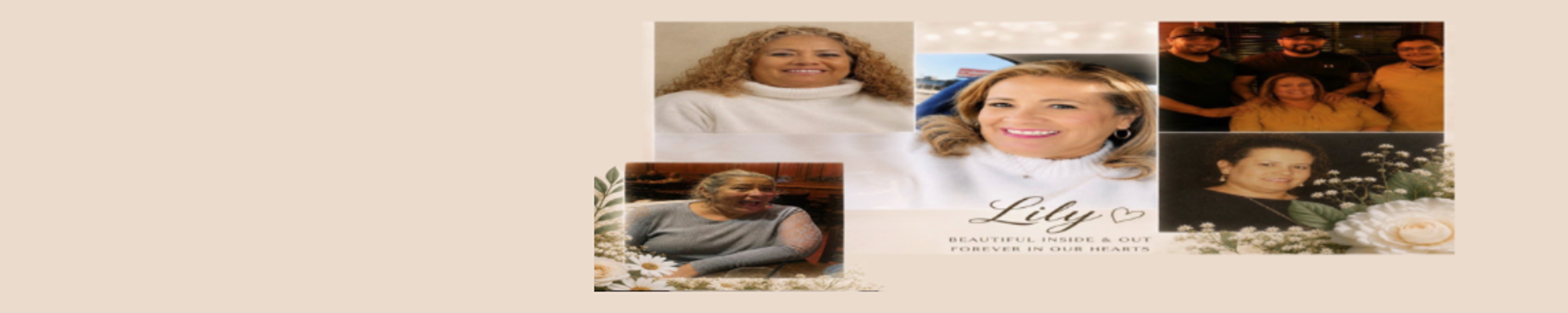 Cover for Lilian "Lily" Seanez's Obituary