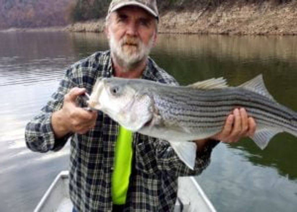 Patrick John (Pj) Lally Profile Photo