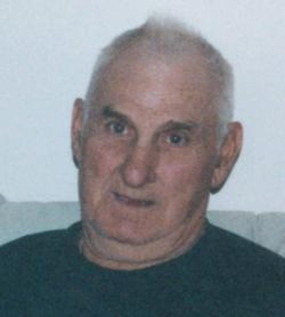 Robert N Dodds