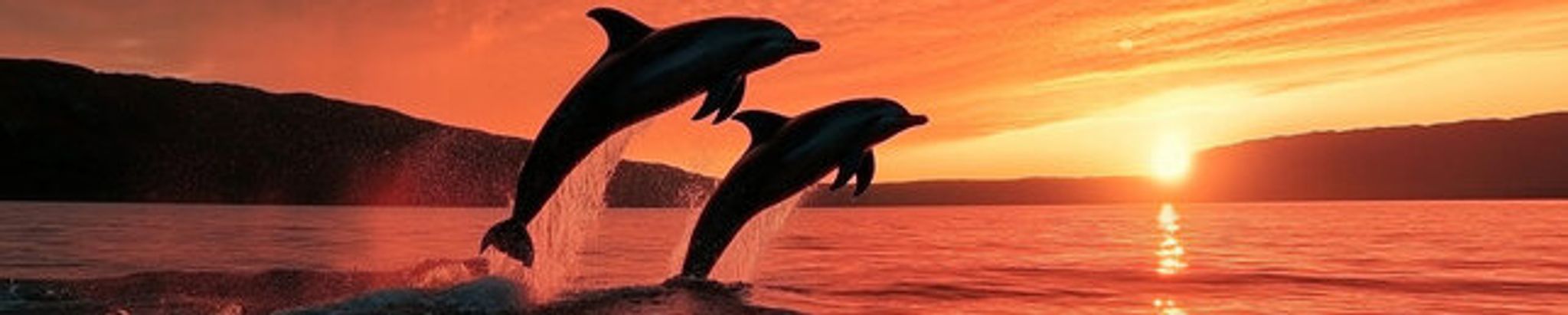 Cover for Melissa Kay Allison's Obituary