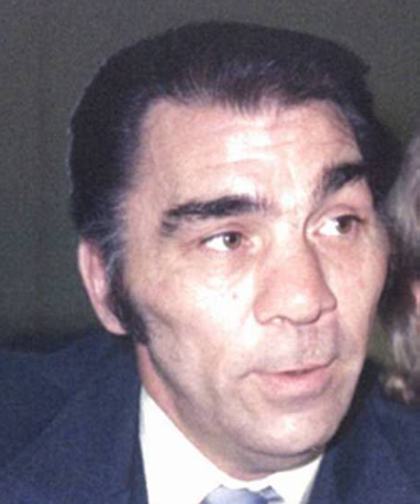 Michael L. Berl