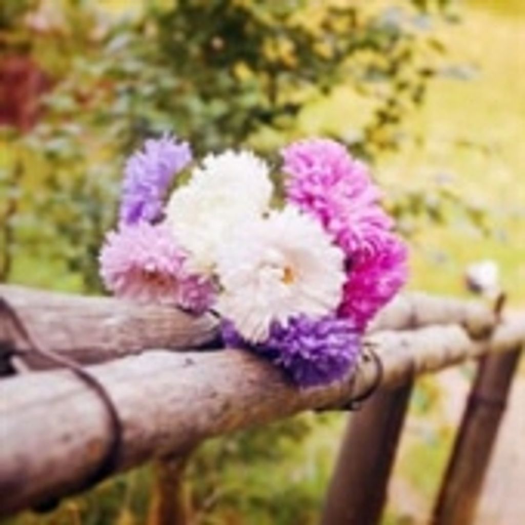 Carolyn Virginia Hutson