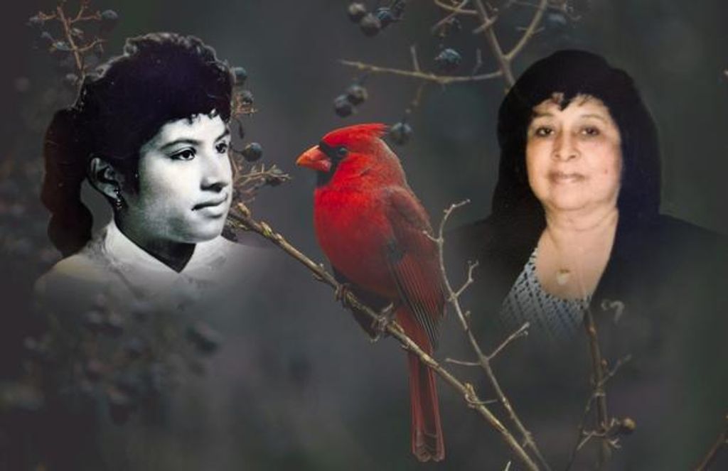 Gloria V. Vasquez Profile Photo