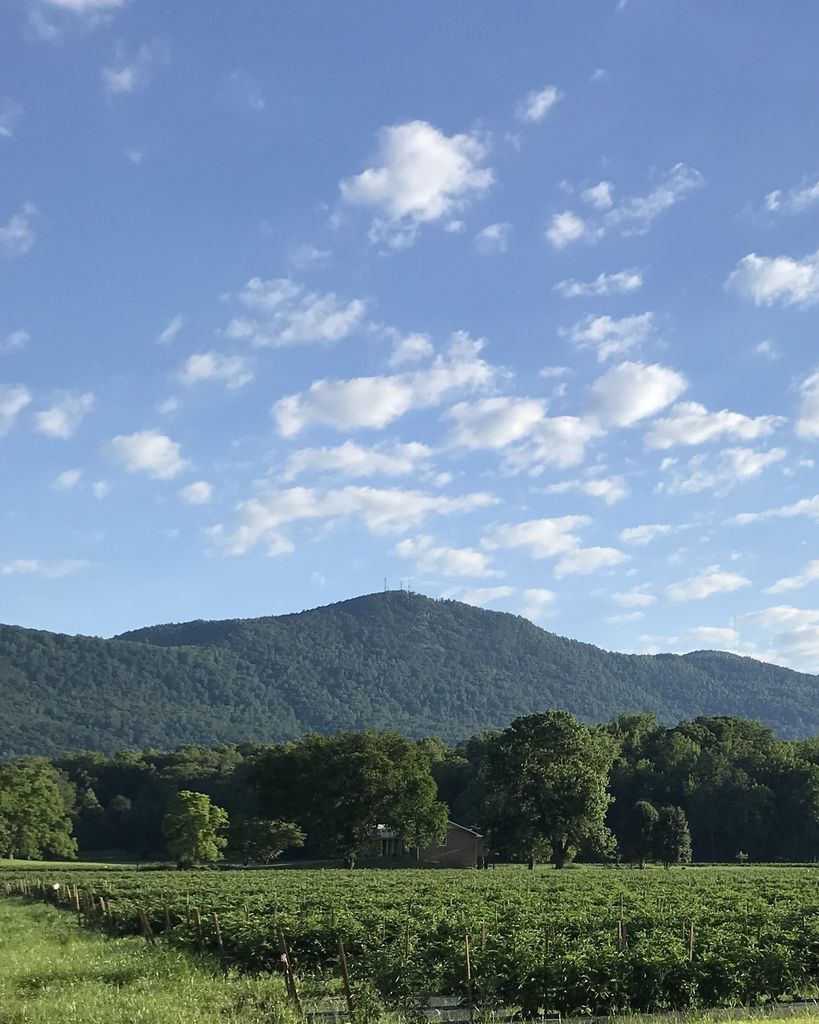 Frances Margaret Bevans Profile Photo