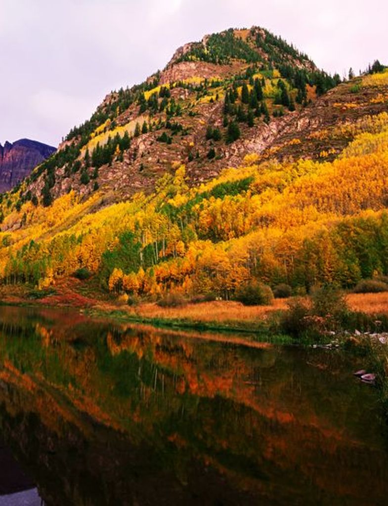 Travis Eugene Wymer Profile Photo