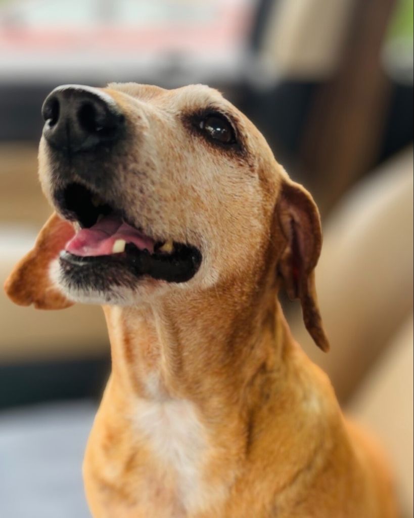 Gus Crabtree Profile Photo