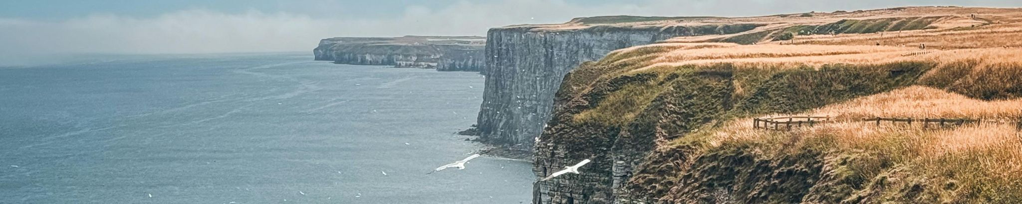 Cover for Antony James Gray's Obituary