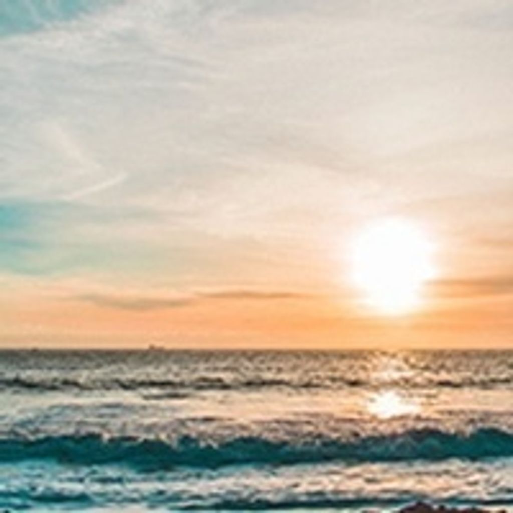 Sarah K Lavan Profile Photo