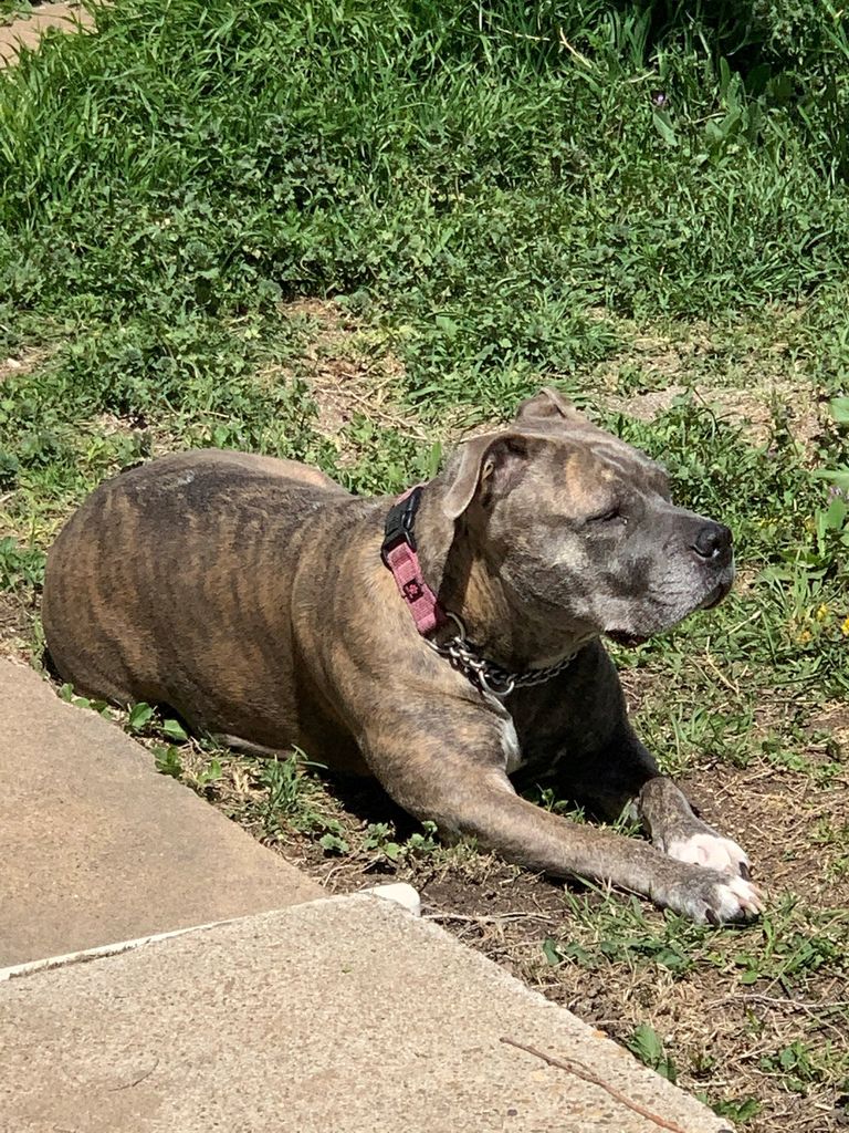 Ellie Profile Photo
