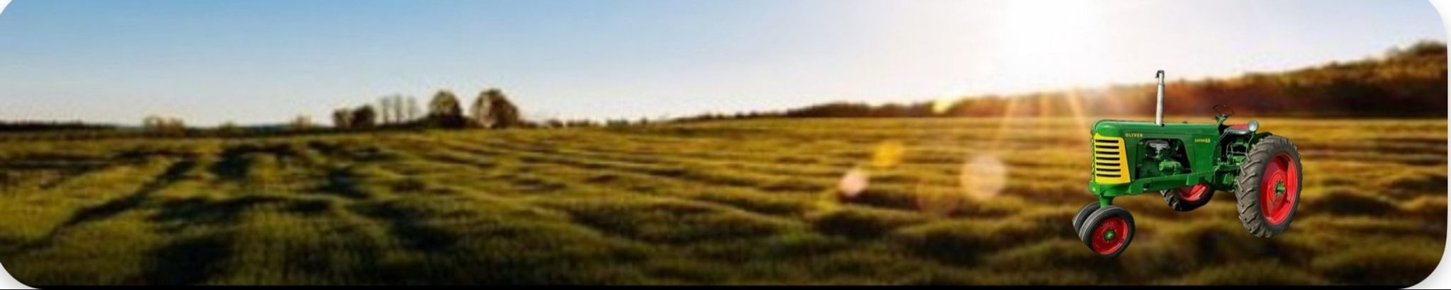 Cover for Terry Parnell's Obituary