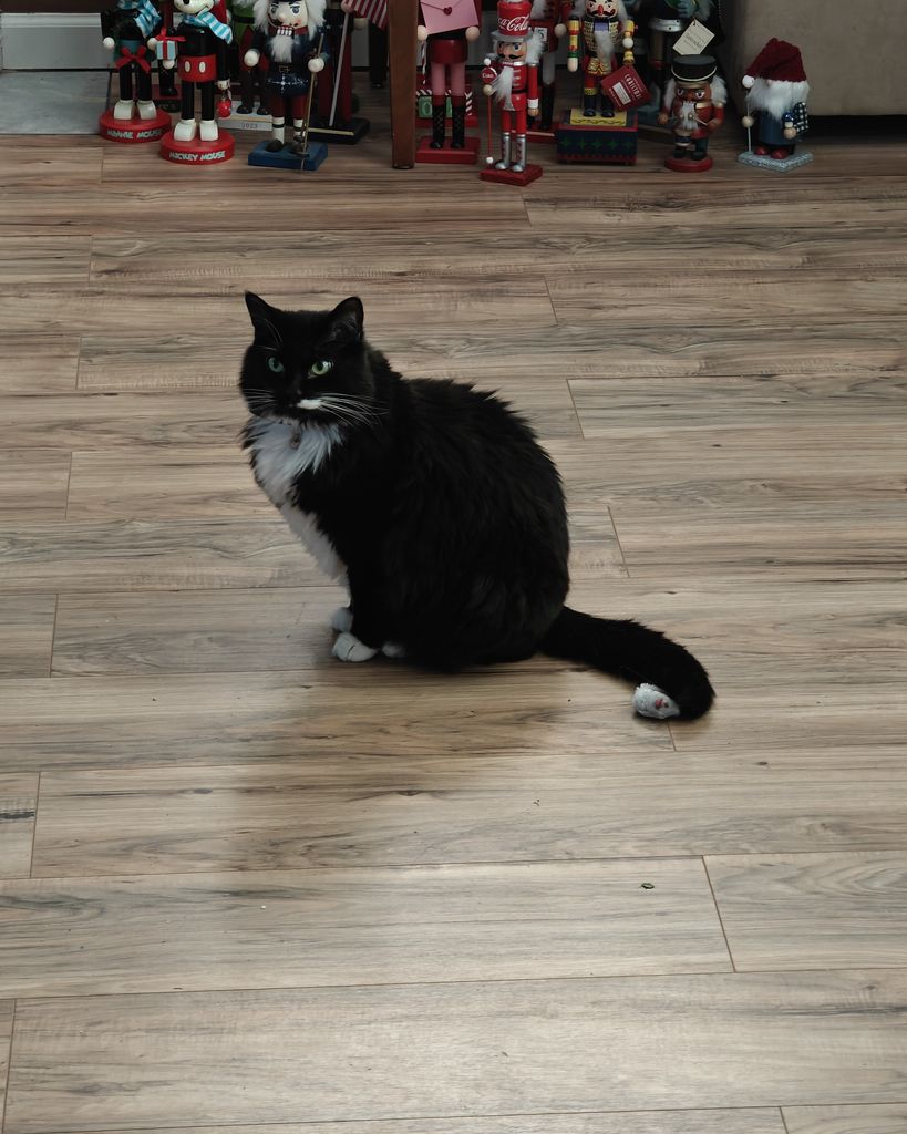Oreo Gearhart Profile Photo