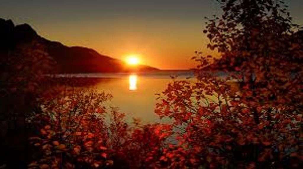 Lorene Nanette Sena Sponsel Profile Photo