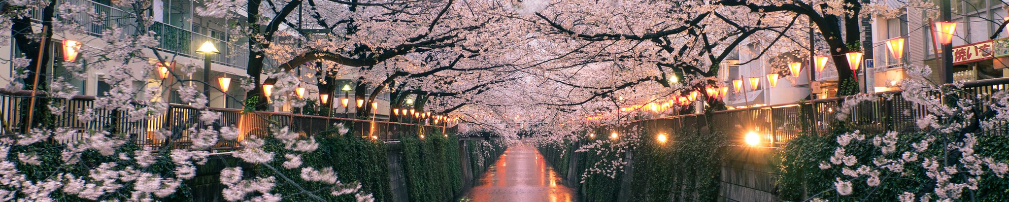 Cover for Cathie Cocklin's Obituary