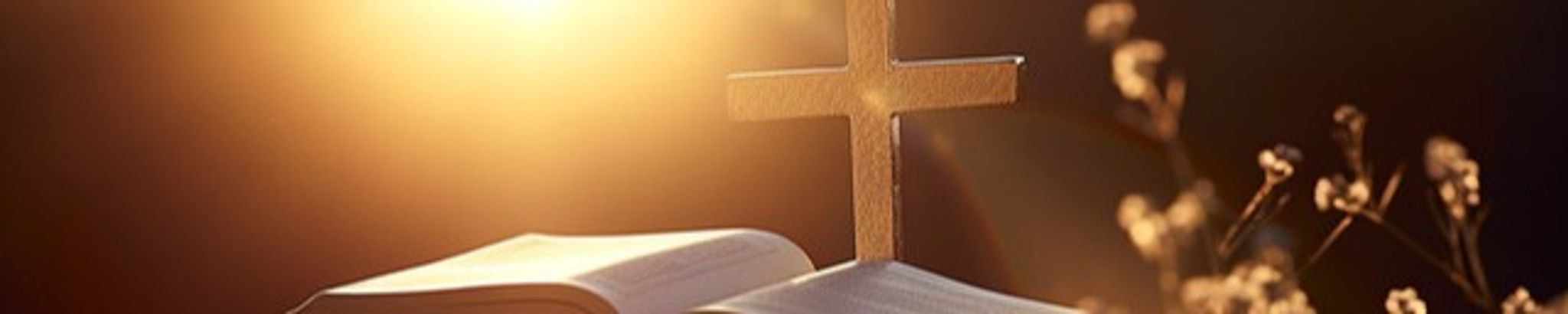 Cover photo for Mary Harlan Murphy's Obituary