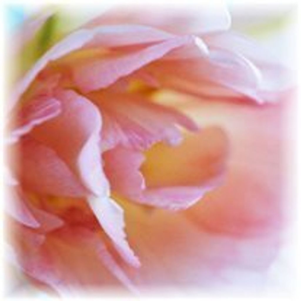Helen Hughes Haviland