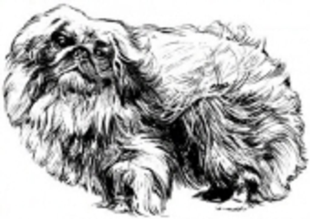 Sierra Jimenez Profile Photo