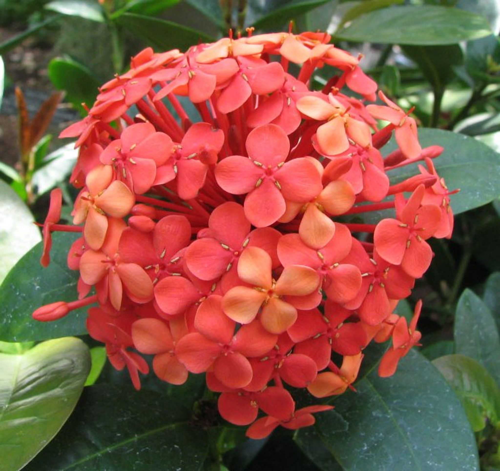 Cover photo for Esther M. Norman's Obituary