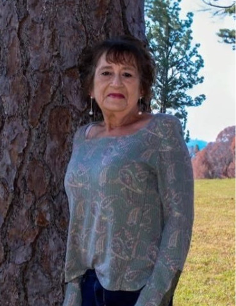 Mary Ann (Pillow) Potter